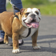 Foto: Tatiana Katsai / Shutterstock